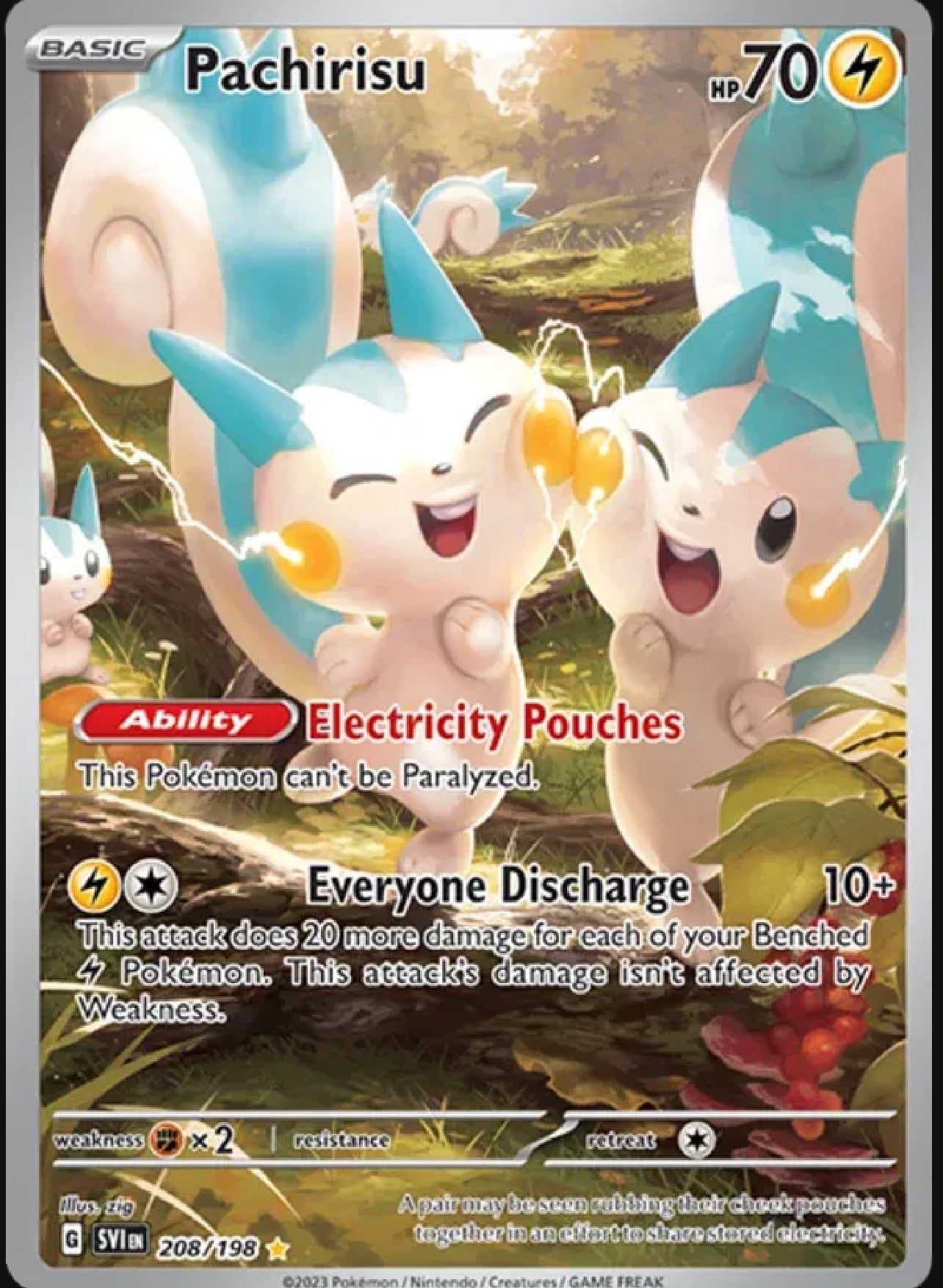 Pachirisu - 208/198