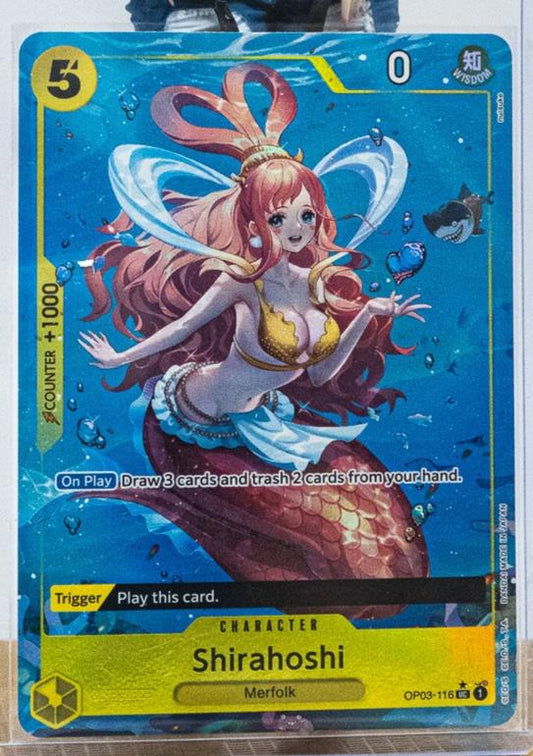 Shirahoshi ALT prb Paralell op03-116